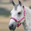 Shires Topaz Headcollar - Raspberry